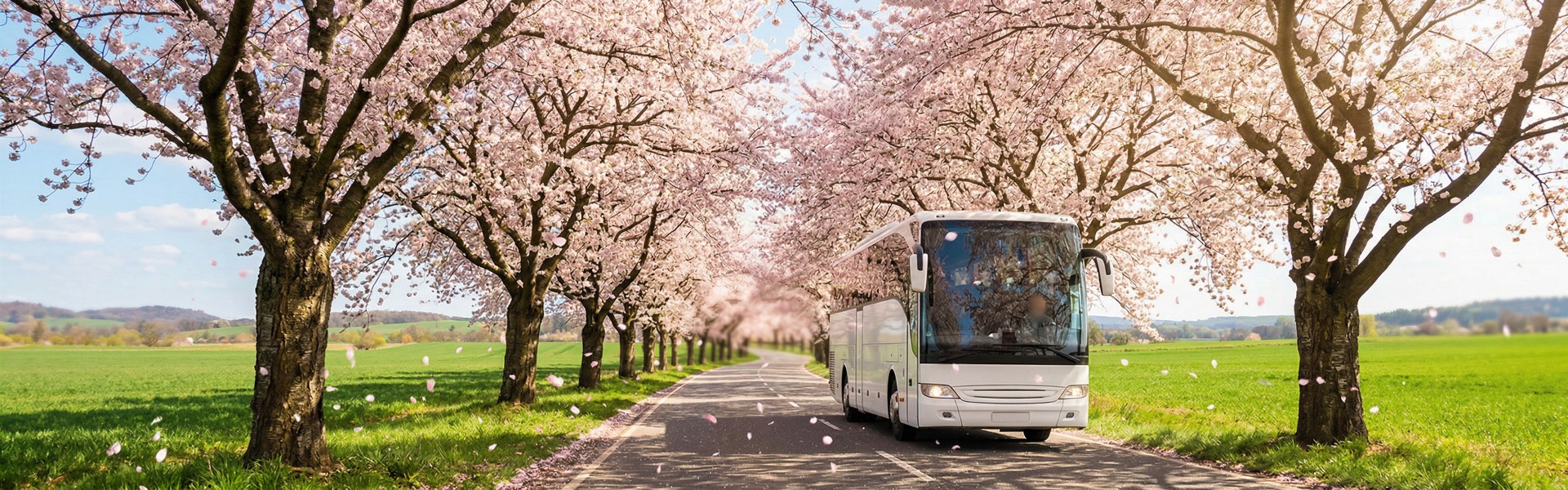 Südtirol Reiseroute planen: Mit dem Bus nach Norditalien