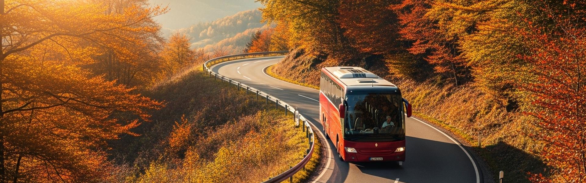 Bus-Rundreise durch Deutschland: Die schönsten Städte entdecken